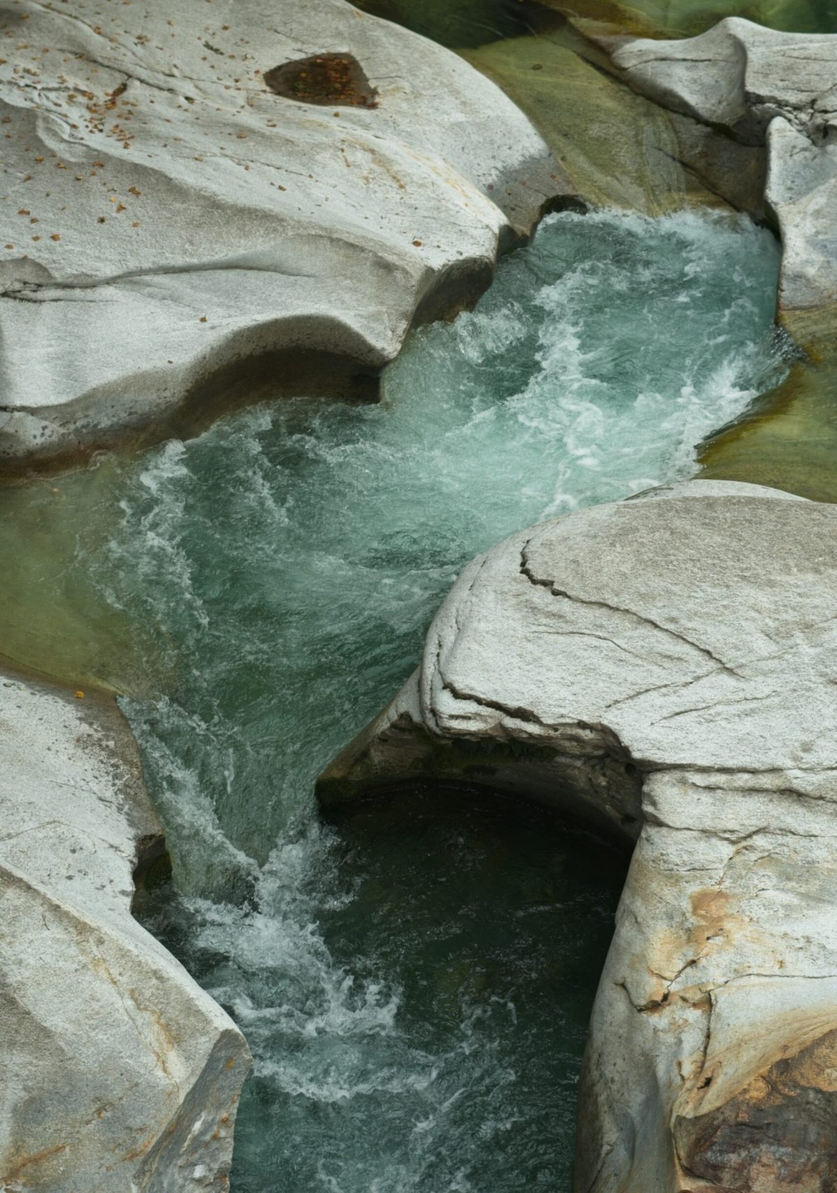 _DSC0004